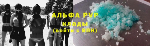 индика Сафоново