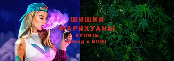 ГАЛЛЮЦИНОГЕННЫЕ ГРИБЫ Арсеньев