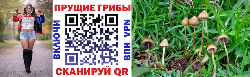 Псилоцибиновые грибы ЛСД  Буинск 